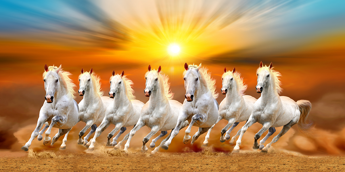 7-horses-wallpaper-hd