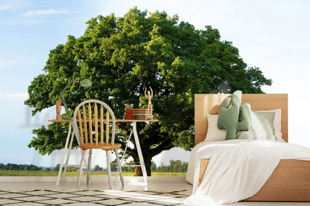 Green Oak Tree In The Field Wallpaper for Wall - Magic Decor